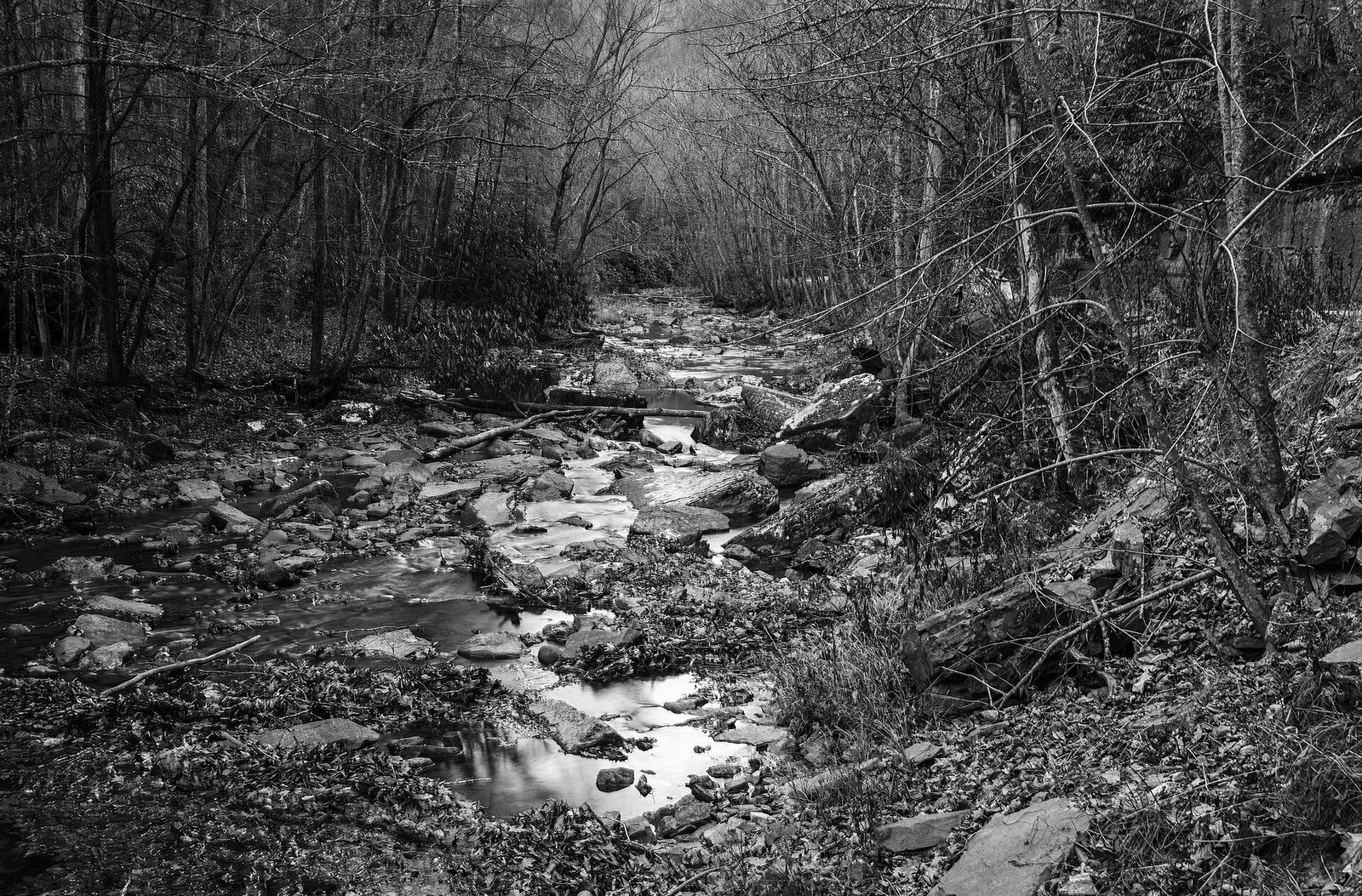 Camp Creek State Park - Campbell Falls WV 4bw LR